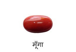 श्री बालाजी हनुमान मंदिर