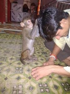 11800451 870562762999621 2455399683866997119 n