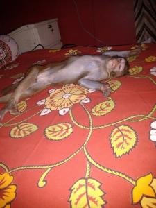 11907222 879040895485141 404529891941842307 n